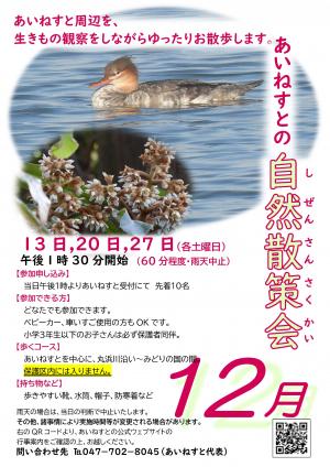 あいねすとの自然散策会（12月）のポスター（画像をクリックするとPDFファイルが開きます）