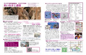 あいねすと通信2025年冬号（クリックするとPDFファイルが開きます）