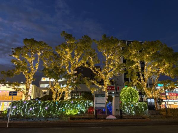 南行徳駅前のイルミネーションの画像