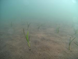 モニタリング1回目の様子の写真②