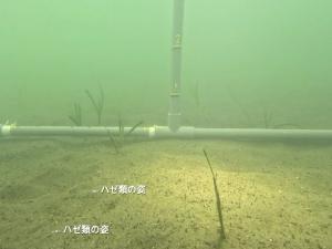 モニタリング1回目の様子の写真③