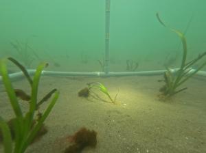 モニタリング2回目の様子の写真②