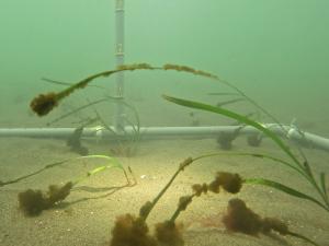 モニタリング2回目の様子の写真③