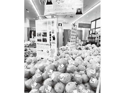 網田　ネーブル