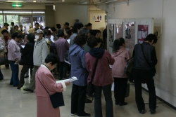 上映会の様子の画像1