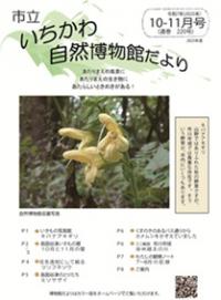 博物館だより220号表紙の写真