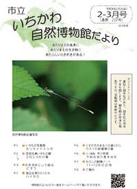 自然博物館だより222号表紙の写真