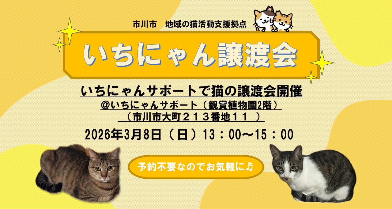 いちにゃん譲渡会のポスター