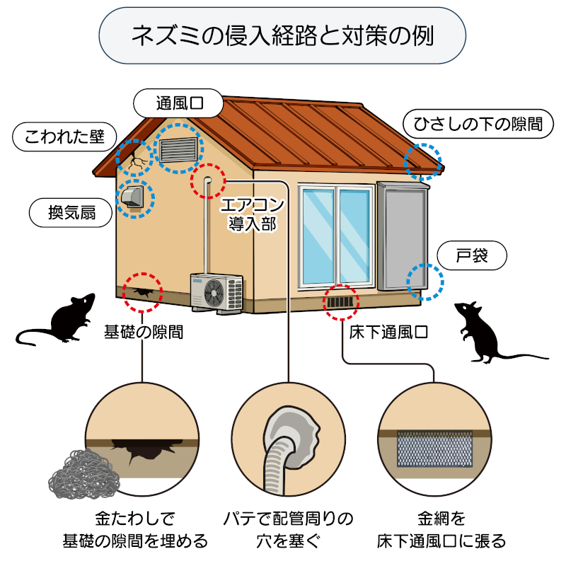 ネズミの侵入経路と対策の例のイラスト