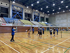 ミニバレーボールの画像