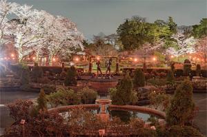 ライトアップ写真