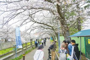 水辺ウォーク写真