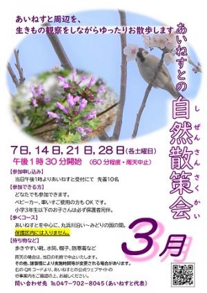 令和8年3月の自然散策会のポスターです。クリックするとPDFファイルが開きます。