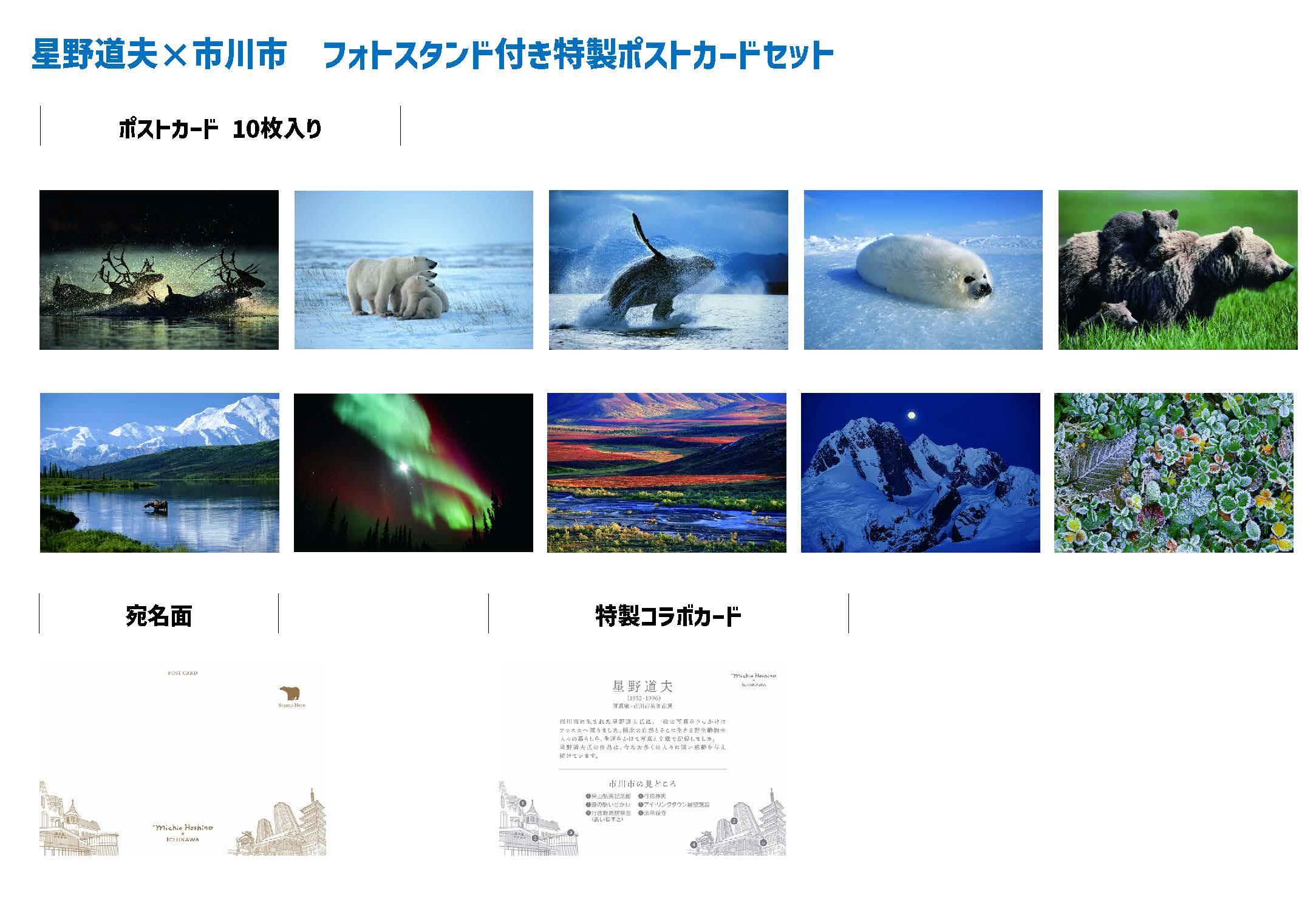 ポストカード販売内容
