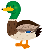 イラスト：カモ