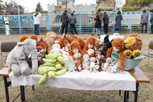 画像:ぬいぐるみ