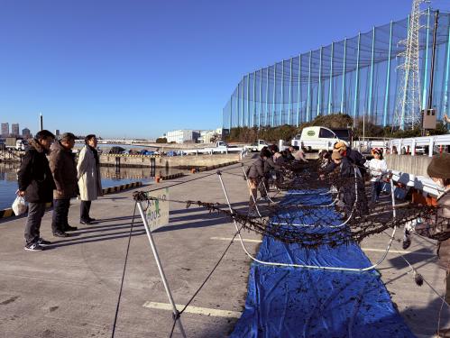 市川市漁業協同組合 漁港朝市の画像