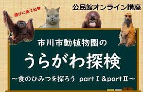 動植物園のうらがわポスター