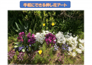 押し花アートポスター