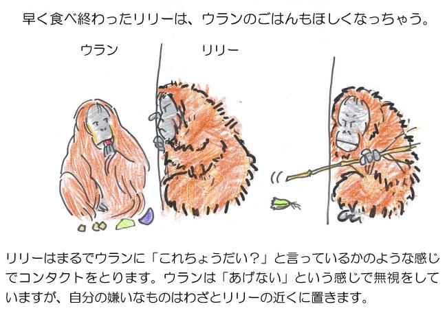 ウランとリリーの漫画2枚目