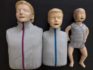 画像：蘇生訓練用人形（成人・小児・乳児）