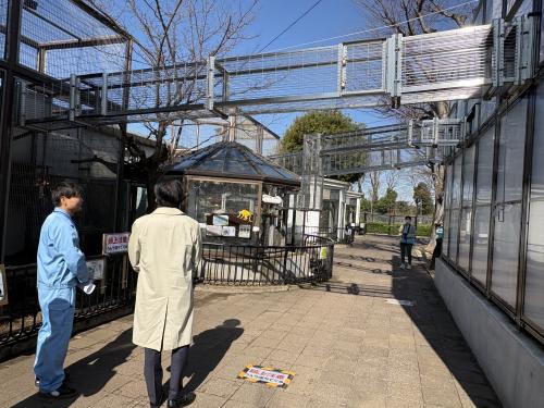 市川市動植物園　「おさるーむ」完成記念内覧ツアーの画像