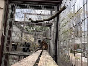 マサラチャイの近くでリラックス