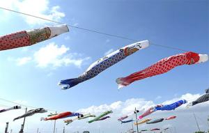 こいのぼり画像