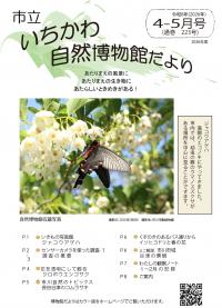 博物館だより223号表紙