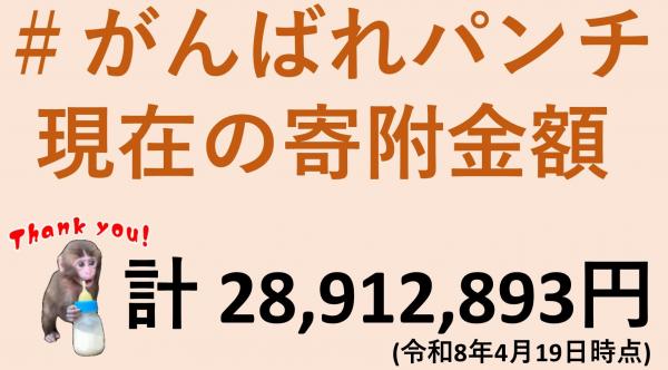 画像：＃がんばれパンチ   現在の寄附金額計 28,912,893円(令和8年4月19日時点)