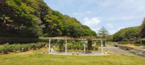 バラ園の写真です。