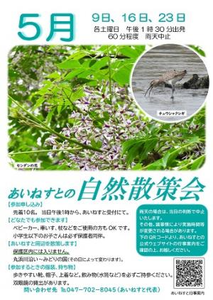 あいねすとの自然散策会