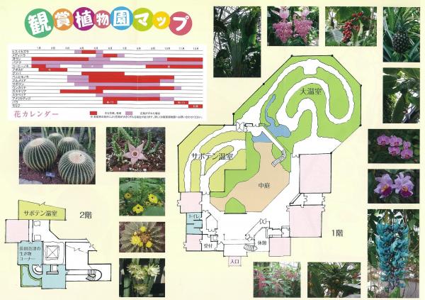 植物園のマップ