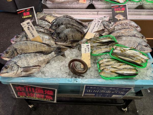コルトンプラザ店での販売の様子の写真