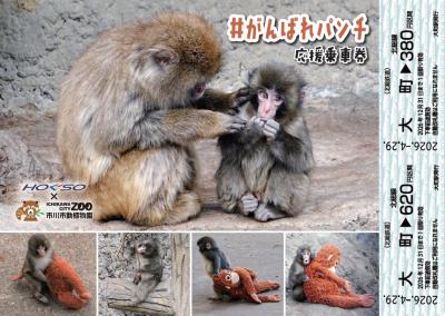 画像：パンチ応援乗車券