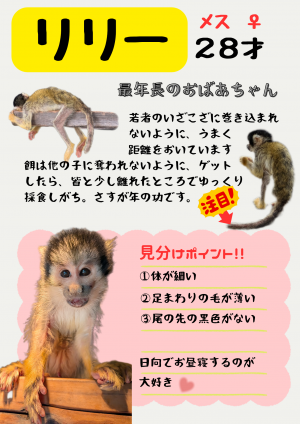 リリー見分け表