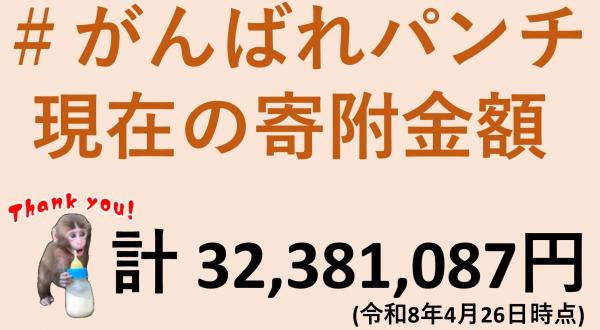 画像：＃がんばれパンチ   現在の寄附金額計 32,381,087円(令和8年4月26日時点)