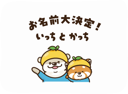 お名前大決定！いっちとかっち