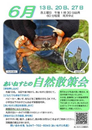 あいねすとの自然散策会6月のポスターの画像