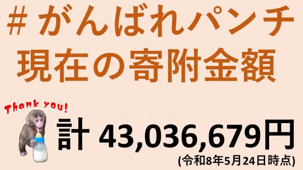 画像：＃がんばれパンチ   現在の寄附金額計 43,036,679円(令和8年5月24日時点)