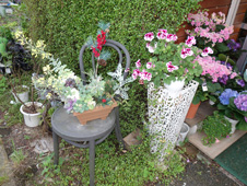 オンラインオープンガーデン2021の画像1