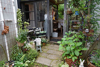 写真:雑貨とCafe Tree-Bの庭