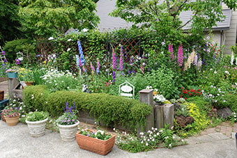 写真:吉田宅の庭