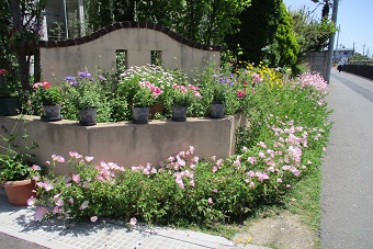 写真：伊藤宅の庭