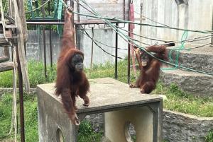 2頭で餌をねだる 右リリー 左ポポ