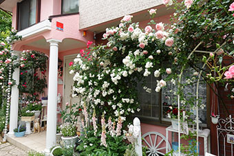 写真:堀井宅の庭