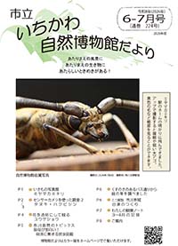 博物館だより224号表紙