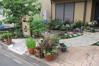 写真：永井宅の庭