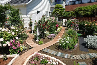 写真:小森宅の庭