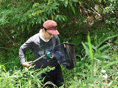 ホトケドジョウの調査の様子